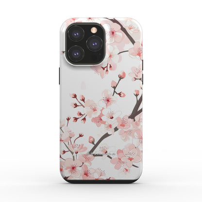 Cherry Blossom